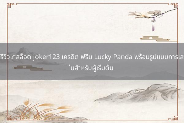 รีวิวเกสล็อต joker123 เครดิต ฟรีม Lucky Panda พร้อมรูปแบบการเล่นสำหรับผู้เริ่มต้น